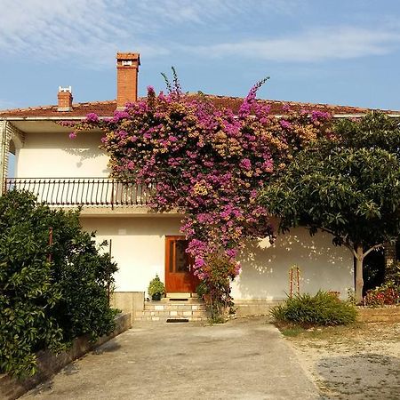 Apartament Apartman Dukic Trogir Zewnętrze zdjęcie
